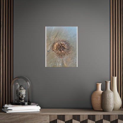 Coastal Sea Creature Unframed Poster - Serene Ocean Decor
